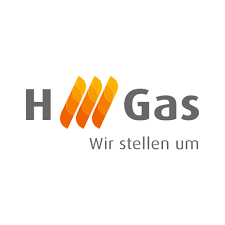 Erdgasumstellung Hamm - Logo H-Gas